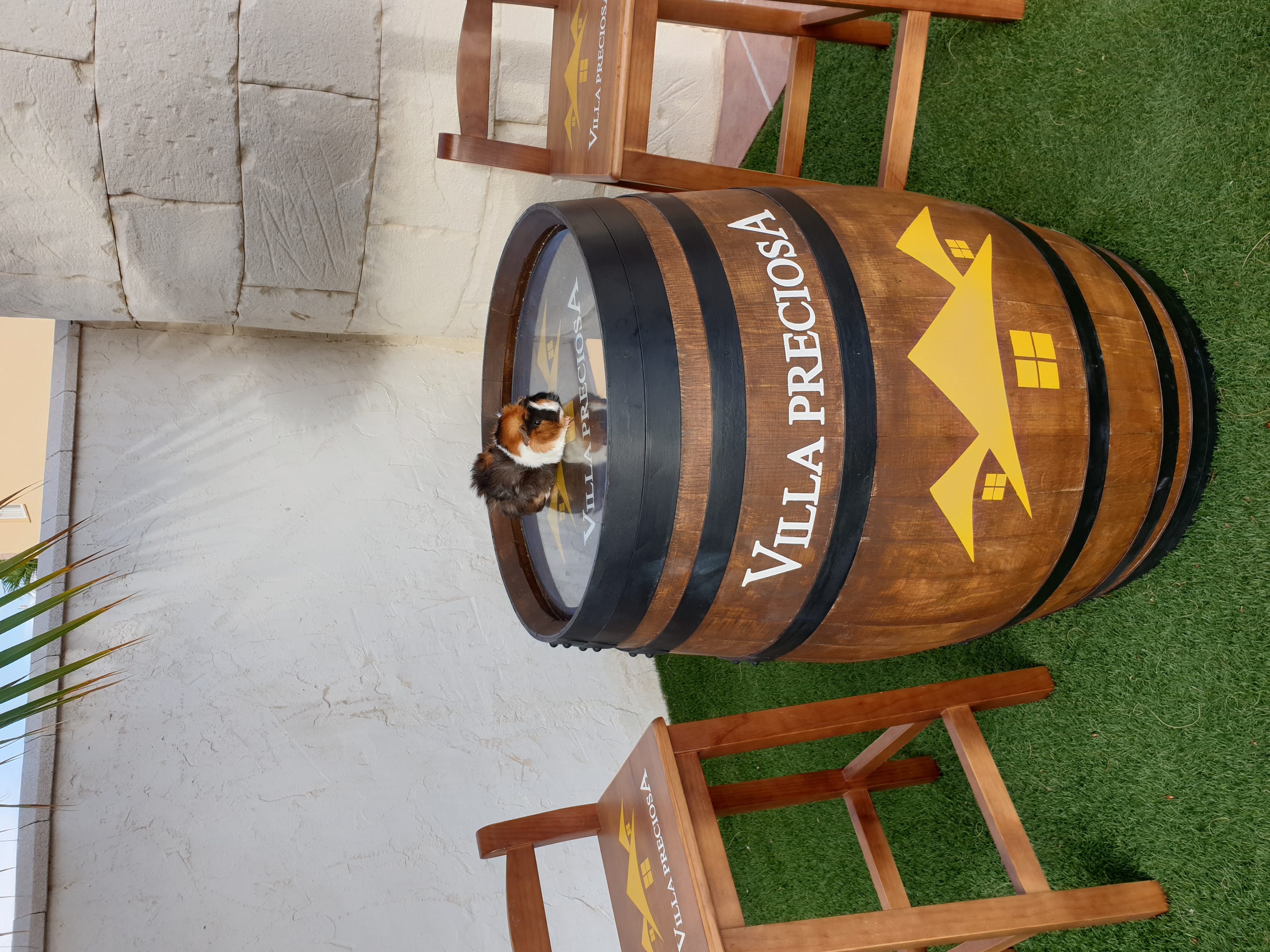  Villa  in   Mazarron   Spain   