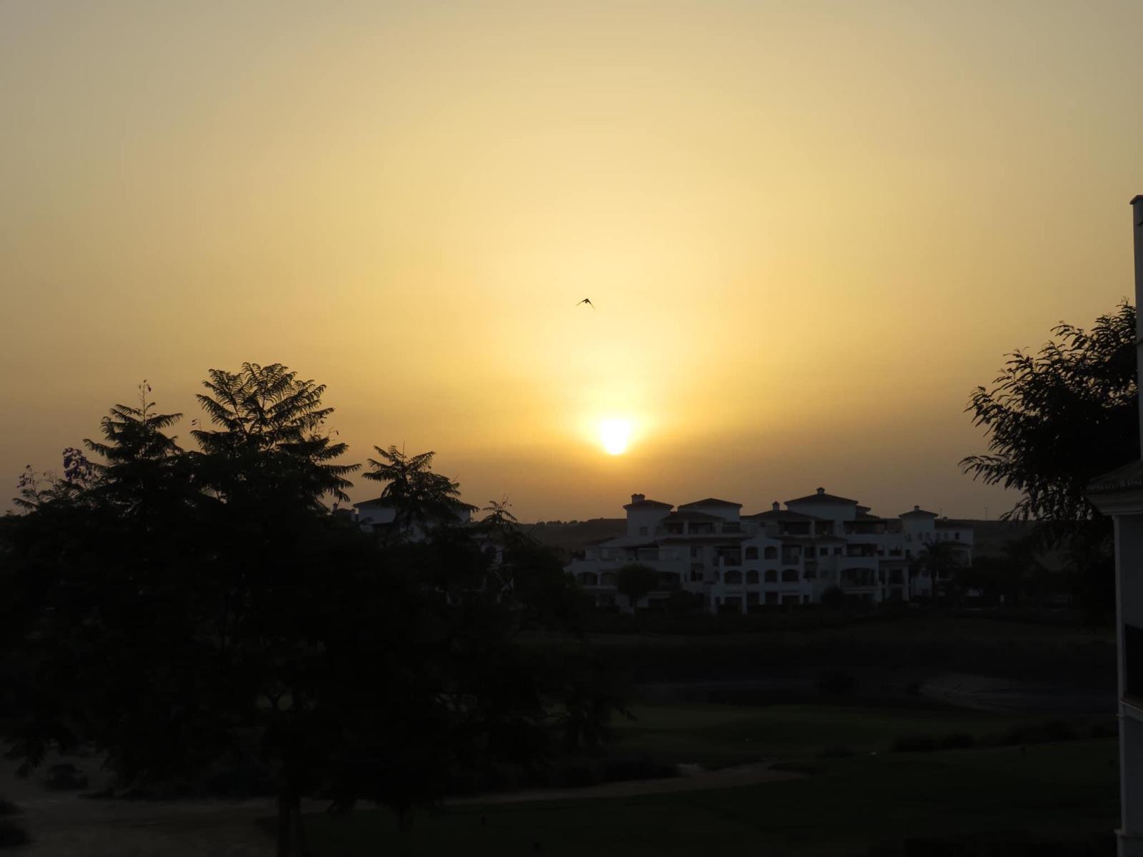  apartment  in   Sucina   Spain   