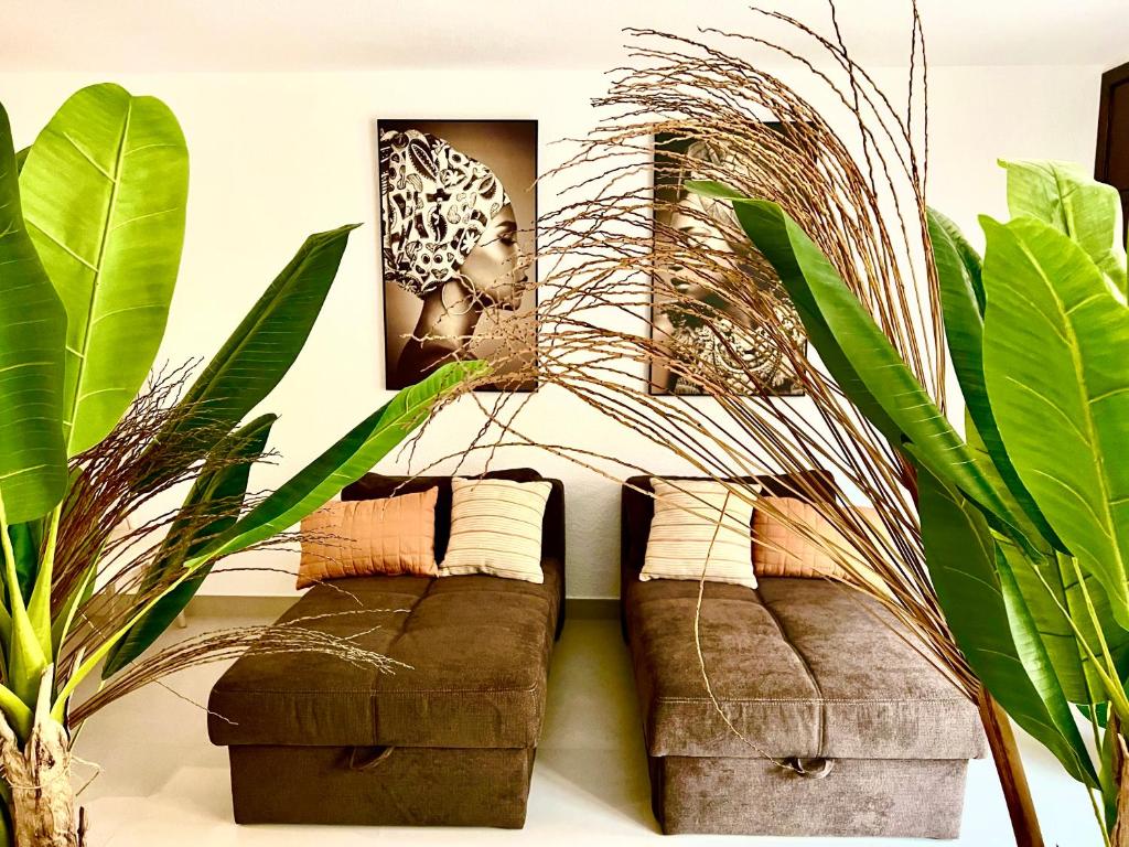  villa  in   Torrevieja   Spain   